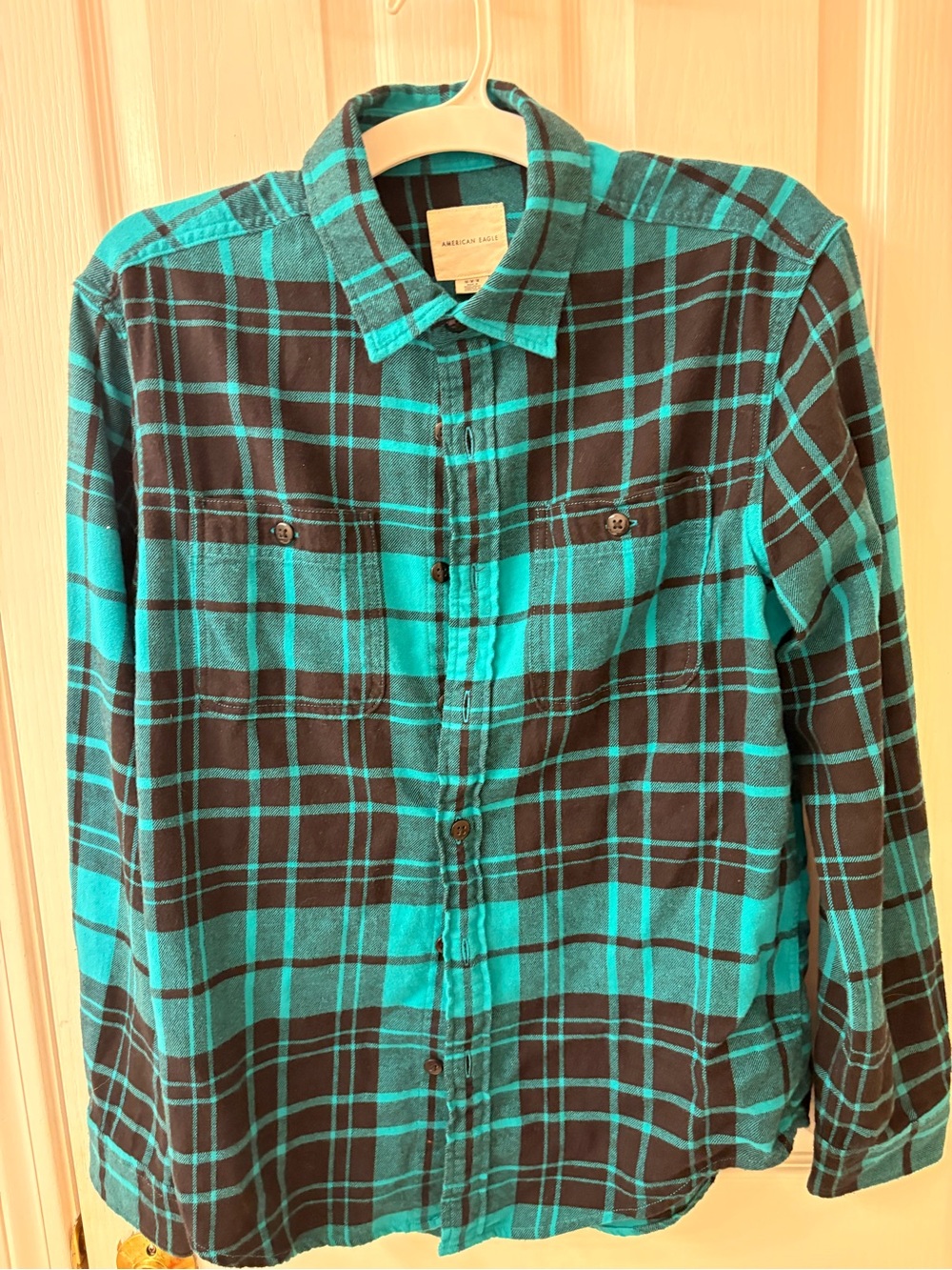 American Eagle Outfitters Teal and Black Plaid Button-Down Shirt